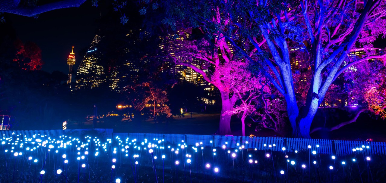 Oasis at Vivid Sydney 2018, a field of coloured lights reflected in the Royal Botanic Garden ponds